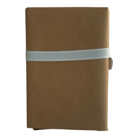 Blind Date With A Book Young Adult YA Realistic Fiction Birthday Gift Holidays - Picture 6 of 6